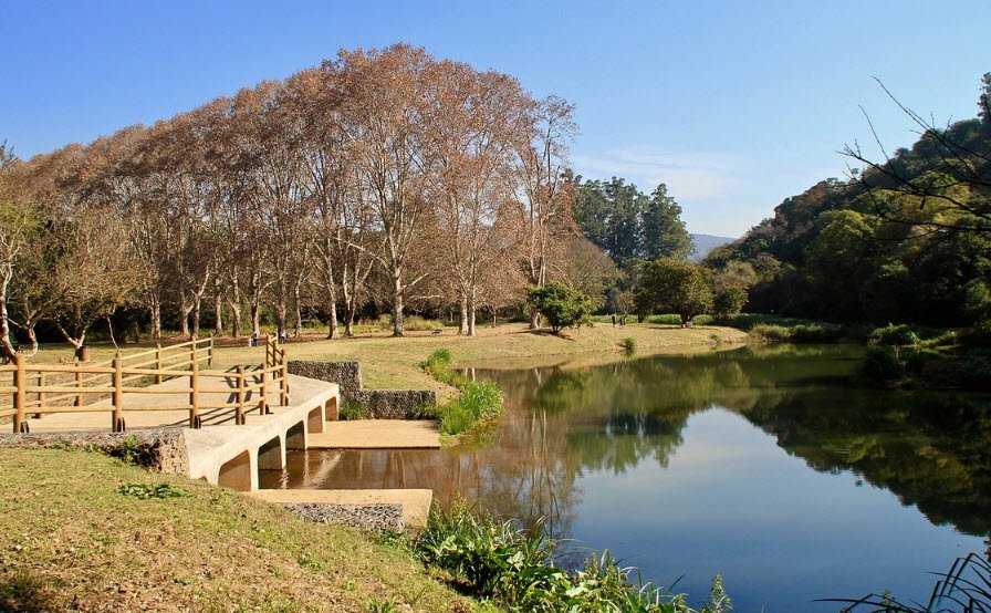 KZN National Botanical Garden (PMB), South Africa